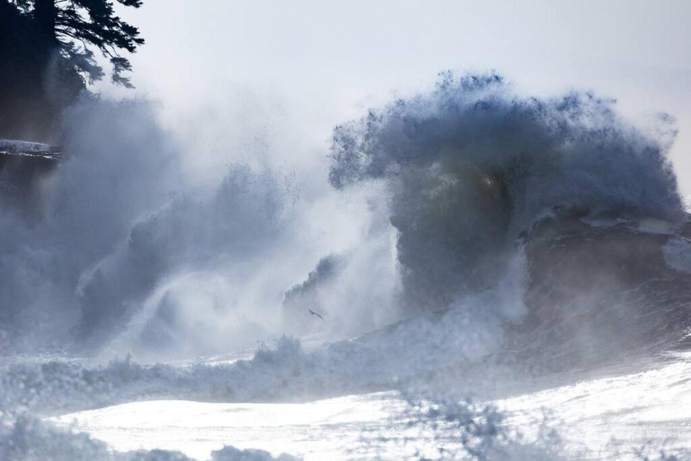 The Great Escape - Port Renfrewヴィラ エクステリア 写真
