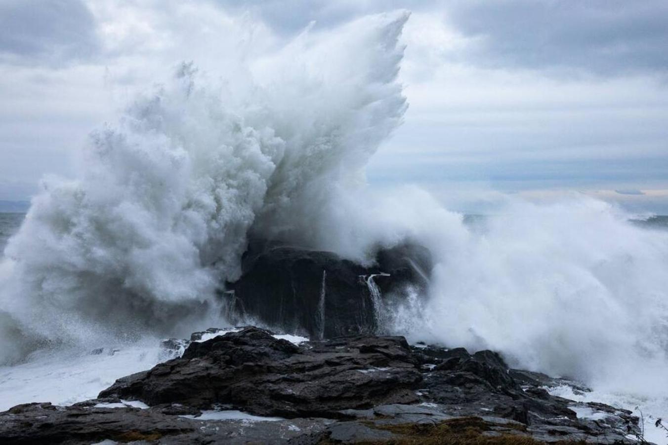 The Great Escape - Port Renfrewヴィラ エクステリア 写真