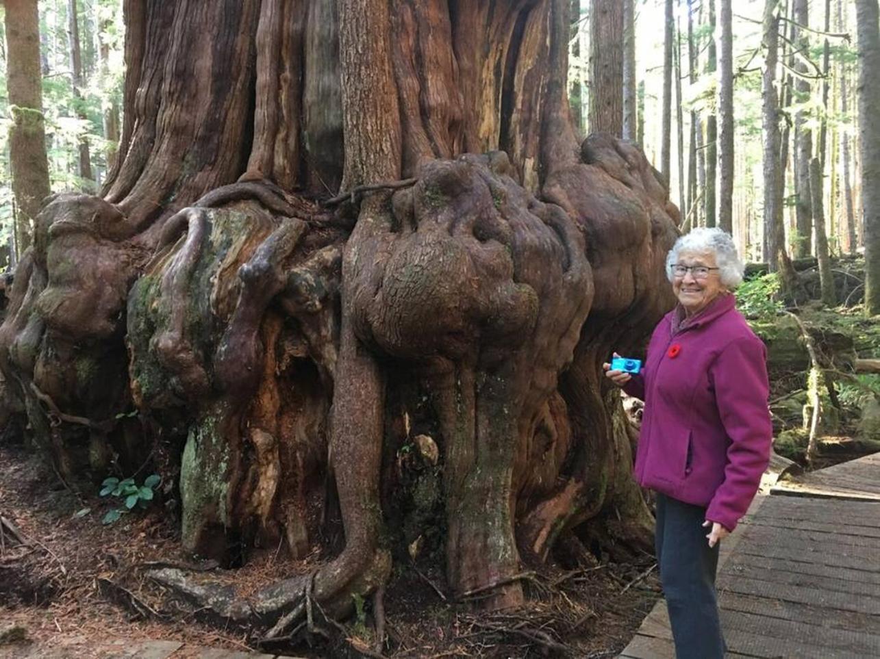 The Great Escape - Port Renfrewヴィラ エクステリア 写真