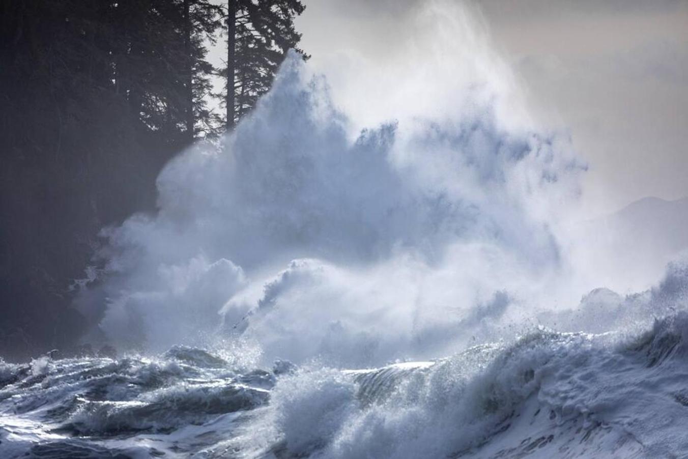The Great Escape - Port Renfrewヴィラ エクステリア 写真