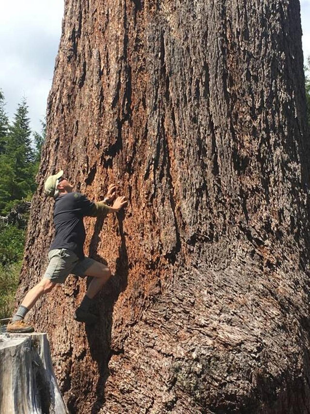 The Great Escape - Port Renfrewヴィラ エクステリア 写真
