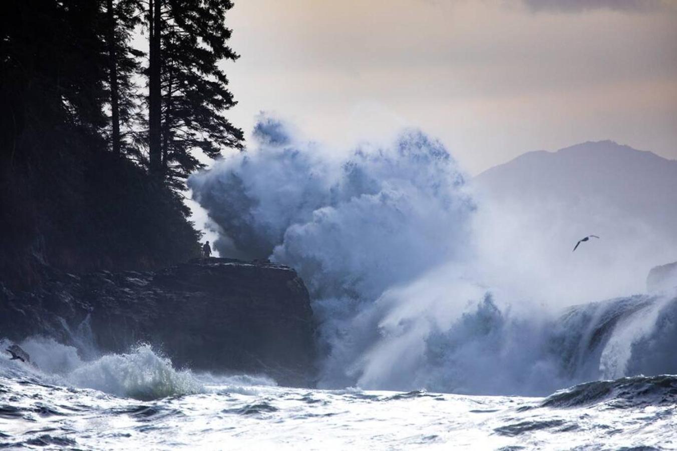 The Great Escape - Port Renfrewヴィラ エクステリア 写真