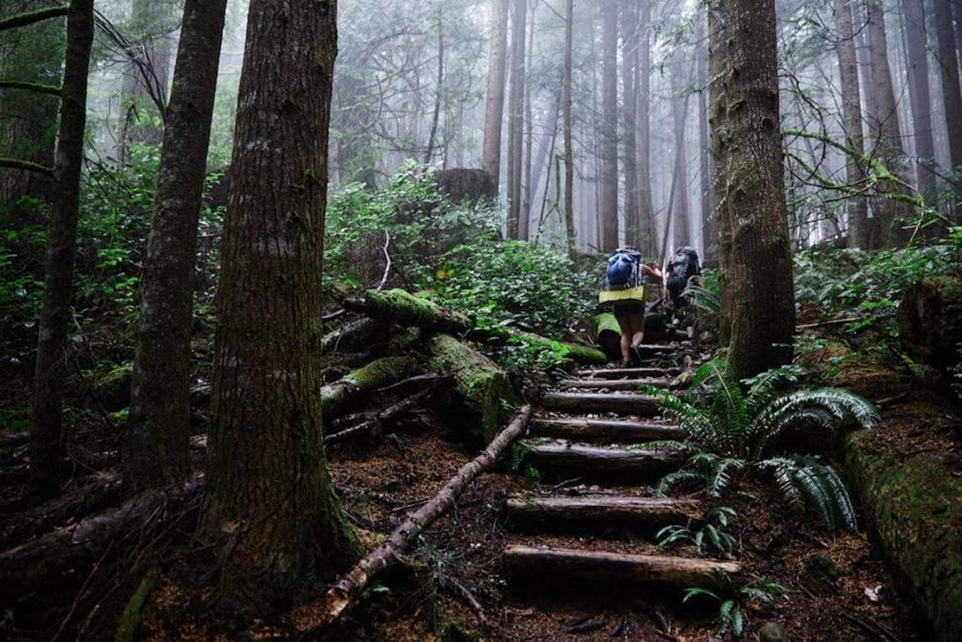 The Great Escape - Port Renfrewヴィラ エクステリア 写真