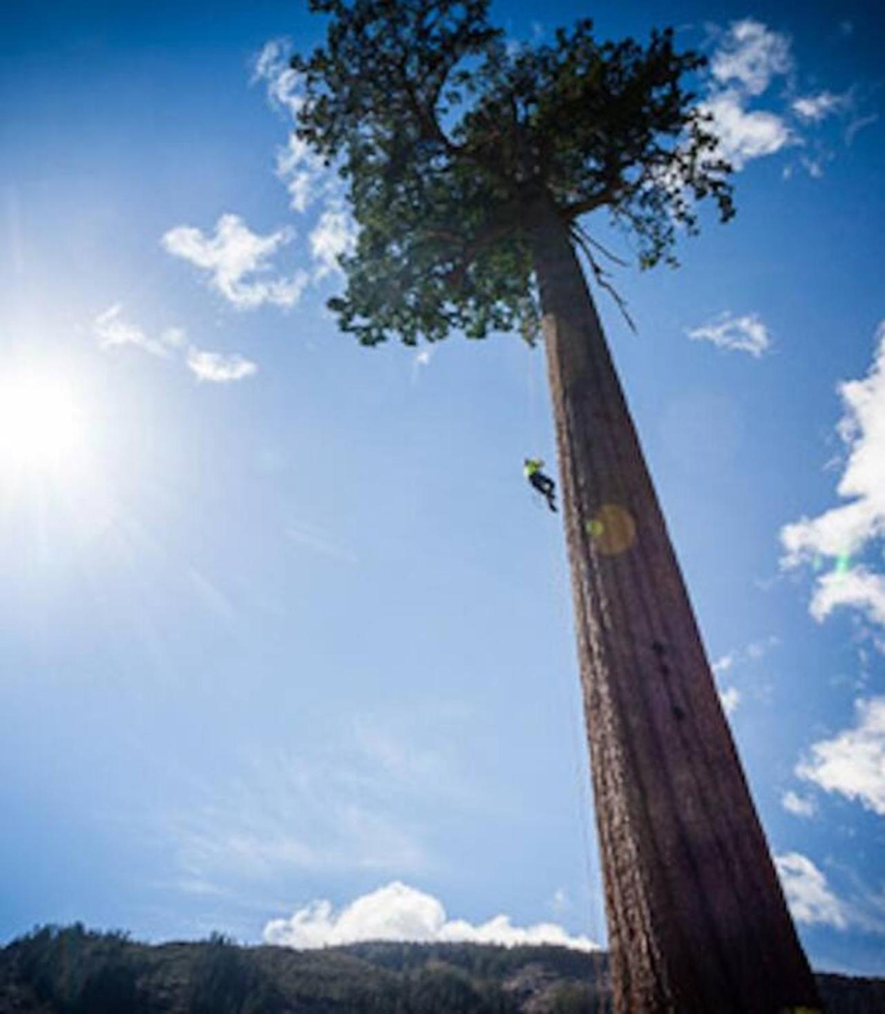 The Great Escape - Port Renfrewヴィラ エクステリア 写真