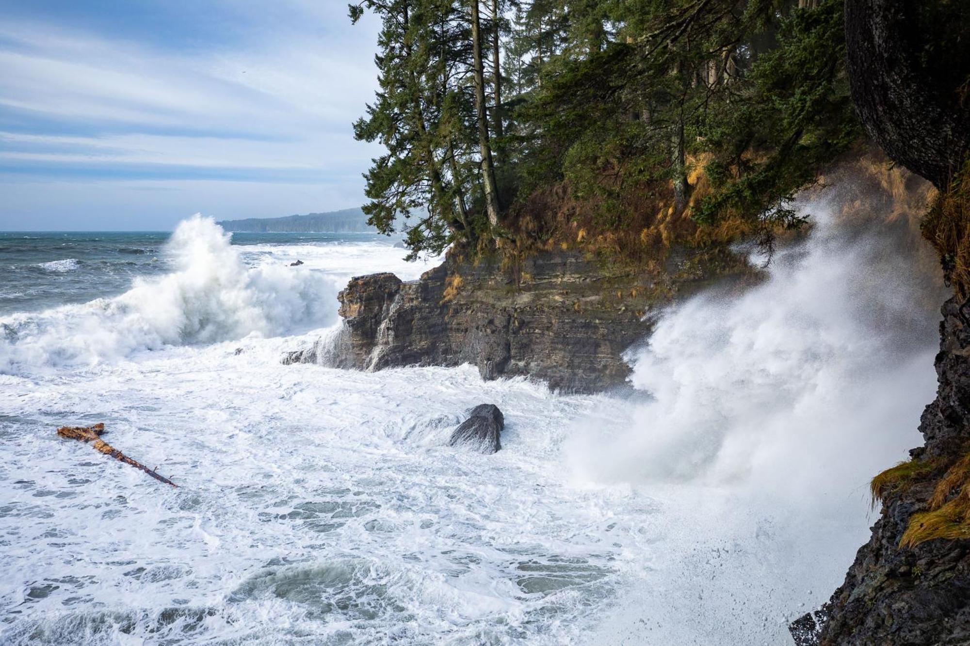 The Great Escape - Port Renfrewヴィラ エクステリア 写真
